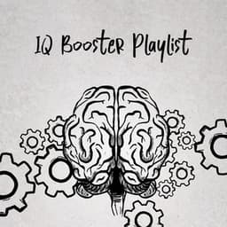 IQ Booster Playlist - Amanda Soho