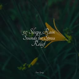 50 Sleepy Rain Sounds for Stress Relief - Happy Baby Lullaby Collection