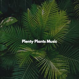 Plenty Plants Music - Hintergrund Jazz Musik