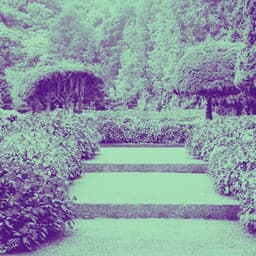 Music for Morning Melodies - Happy Sunday Morning Music