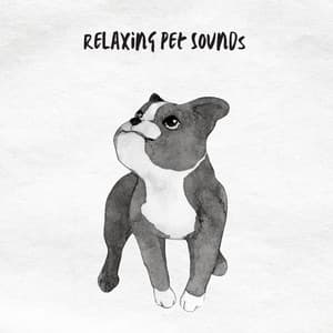Relaxing Pet Sounds - Pet Music Therapy
