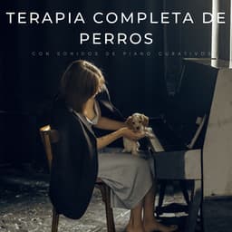Terapia Completa De Perros Con Sonidos De Piano Curativos - Salón con piano bar