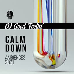 Calm Down Ambiences 2021 - DJ Infinity Night
