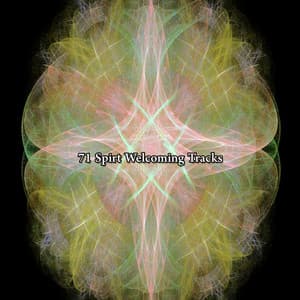 71 Spirt Welcoming Tracks - Nu Meditation Music