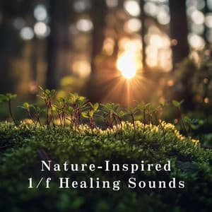 Nature-Inspired 1/f Healing Sounds - Relaxing BGM Project