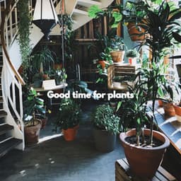 Good time for plants - Jazz Animada para Cafeterías