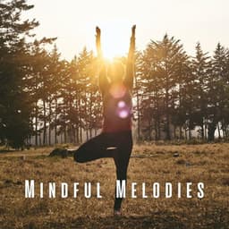 Mindful Melodies: Peaceful Yoga Flow with Cicada Sounds - The ASMR Triggers