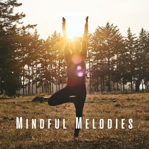 Mindful Melodies: Peaceful Yoga Flow with Cicada Sounds - The ASMR Triggers
