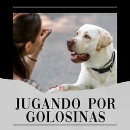 Jugando por Golosinas - Biblioteca de Música Para Mascotas
