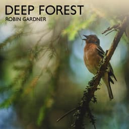Deep Forest - Robin Gardner