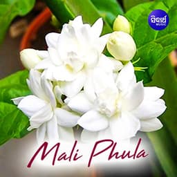 Malli Phula - Abhijit Majumdar