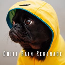Chill Rain Serenade: Relaxing Sounds for Happy Dogs - Relaxation Music for Dogs
