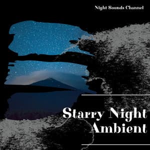 Starry Night Ambient: Peaceful Evening - Night Sounds Channel