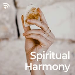 Spiritual Harmony - Shamanic Drumming World / Spiritual Enlightenment Unit