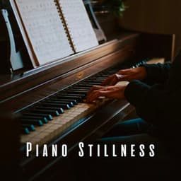 Piano Stillness: Meditation Sounds for Harmony - Relaxing Piano Music Universe