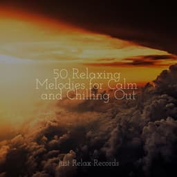 50 Relaxing Melodies for Calm and Chilling Out - Natural Sounds