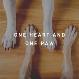 One Heart and One Paw - Official Pet Care Collection
