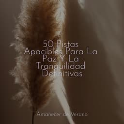 50 Pistas Apacibles Para La Paz Y La Tranquilidad Definitivas - Deep Sleep Relaxation