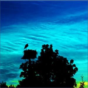 White Noise, Brown Noise, Appliances, Water and other Audio - Relaxation And Meditation