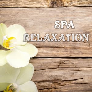 Spa, Relaxation & Deep Meditation Dream Sounds - New Age Music - Spa, Relaxation and Dreams