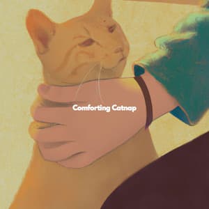 Comforting Catnap - Coffee Lounge Jazz Chill Out