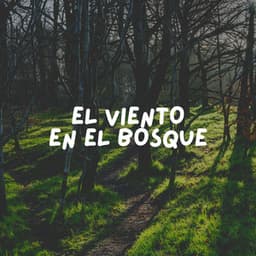 El Viento en el Bosque - Sonidos de la Naturaleza para Dormir