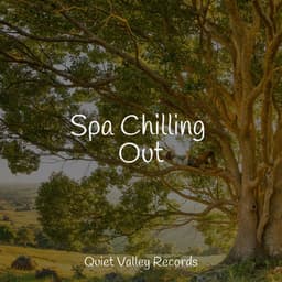 Spa Chilling Out - Meditation Zen