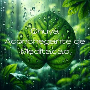 Chuva Aconchegante para Meditação: Música Relaxante e Sons para Yoga, Spa e Sono - Relaxantes Natureza Zona