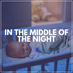 In the Middle of the Night - Help Your Baby Sleep Through The Night