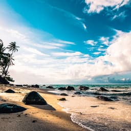 1 Coastal Night: Cascading Waters - Coastal Sounds