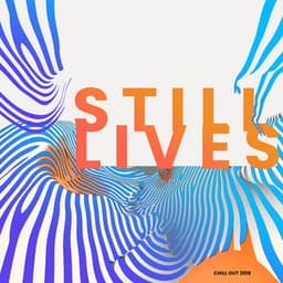 Still Lives - Chill Out 2018