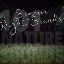 Summer Night Sounds - 101 Nature Sounds