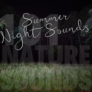 Summer Night Sounds - 101 Nature Sounds