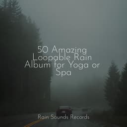 50 Amazing Loopable Rain Album for Yoga or Spa - Natureza