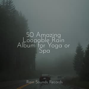 50 Amazing Loopable Rain Album for Yoga or Spa - Natureza