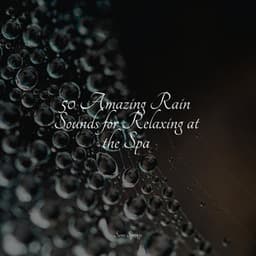 50 Amazing Rain Sounds for Relaxing at the Spa - Zarobi