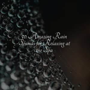 50 Amazing Rain Sounds for Relaxing at the Spa - Zarobi