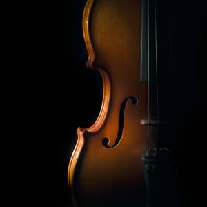 Peaceful Orchestra Melodies: Calm Music for Reflection - Valborg Shamsuddin