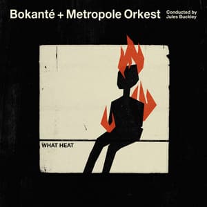 What Heat - Bokanté