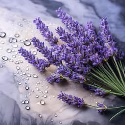 Melodías Relajantes Para Calmar Y Relajar El Cuerpo - Monjes budistas del monasterio Maitri Vihar