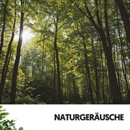 Naturgeräusche: Symphonie der Gelassenheit - Relajacion