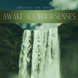 Awake All Your Senses - Chriss Aum