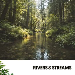 Rivers & Streams: Melodies of Flowing Waters - Ruido Blanco Hart