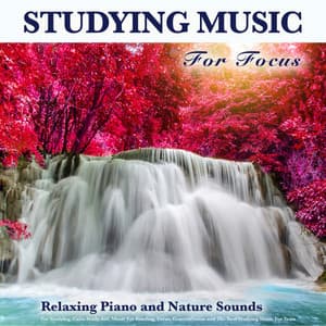 Studying Music For Focus: Relaxing Piano and Nature Sounds For Studying, Calm Study Aid, Music For Reading, Focus, Concentration and The Best Studying Music For Tests - Study Music for Focus