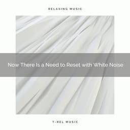 Now There Is a Need to Reset with White Noise - Noise Radio 1