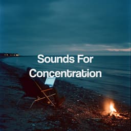 Sounds For Concentration - Relajacion Del Mar