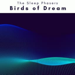 1 Birds of Dream - The Sleep Phasers