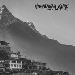 Himalayan Cure: Music of Tibet with Flute, Singing Bowls and Gong, Deep Healing Sound - Meditation Sounds of the Tibet