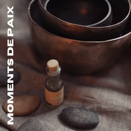Moments de Paix - Musique de Relaxation
