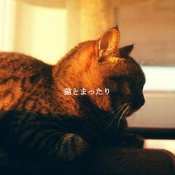 猫とまったり - Musique pour Cuisiner